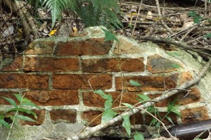 西表島宇多良炭鉱 NT氏撮影